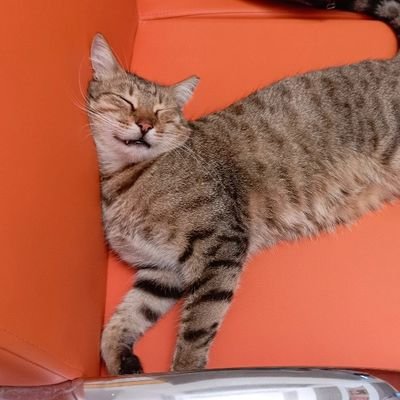 kendinemotive's profile picture. UI/UX Artist