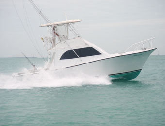 Key West Sportfishing at its best. Specializing in Light Tackle live baiting, Kite fishing, Trolling, and Bottom fishing.
