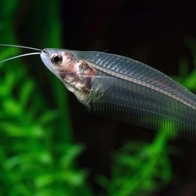 Unkn0wn4o43rr0r's profile picture. nothing..  5m0qir