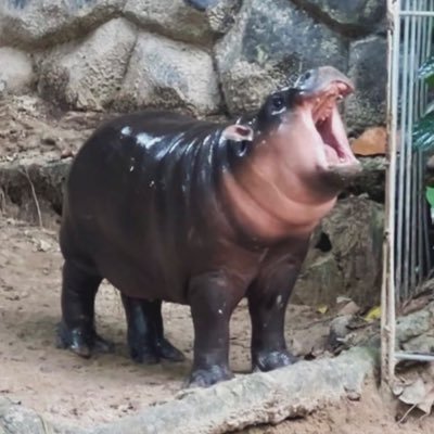 Pablo_avg_'s profile picture. 