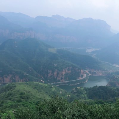 18864959wer's profile picture. I have nothing to offer but blood , toil tears and sweat