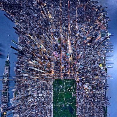 fvrgo's profile picture. kaizen