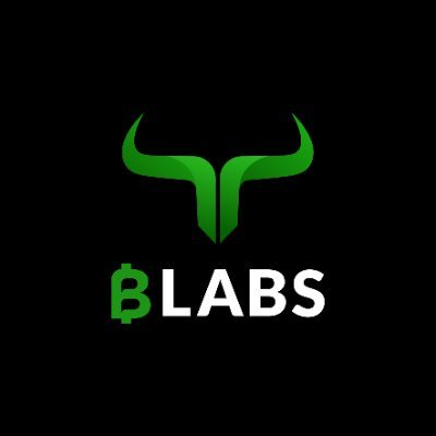 blabs_build's profile picture. Build the Impossible