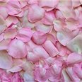 Asako614540's profile picture. お金の豆知識や有益情報など共有中。自分がお金に苦労したので生活に苦しんでいる方の力になれればと思い、少しですが現金プレゼント企画を実施中。 支援中▶ https://t.co/IeXrT4yuHi