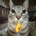 Dr. Zu (@drxuanmaidinh) Twitter profile photo Dr. Zu (@drxuanmaidinh) Twitter profile photo