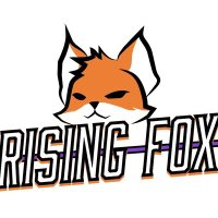 Rising Fox (@risingfoxgame) 's Twitter Profile
