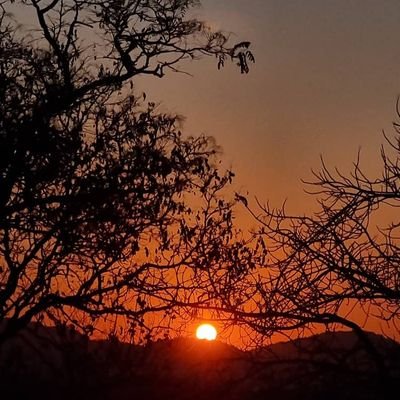 huzy98's profile picture. 