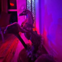 Joe (@daddyjoe666666) Twitter profile photo