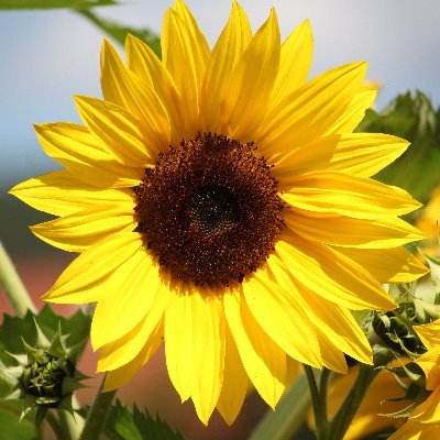 Grünwählerin heimatverbunden Kaffeejunkie #fckAfD #wirsindmehr
https://t.co/aZ9ZUZRAhJ
Blockiert jeden Parodie-Account