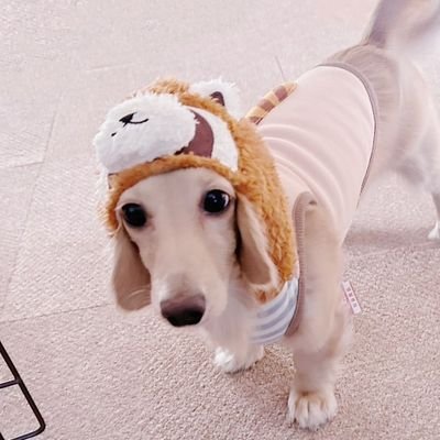 milknogirl Profile Picture