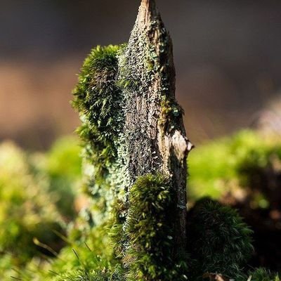 SaintArgamak's profile picture. https://t.co/3pHZT2wnKK
глупеньковый тг канал подписывайтесь