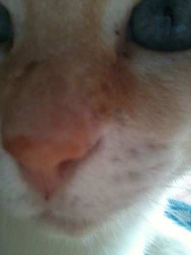 agline47_oita's profile picture. 大分県別府市楠町から大分県杵築市山香町へ引っ越しました 放置竹林だらけの山を使って楽園作りしています 竹炭作り 筍掘り バンブーハウス ロッククライミング ツリーハウス 10分登山 竹林イベントなど計画中 音楽まみれ diy戦士