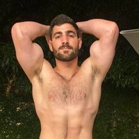 BicepsKingX (@bluebtsu) 's Twitter Profile