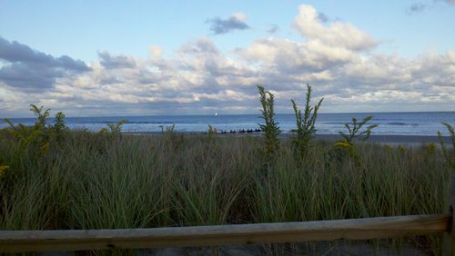 Stone Harbor is located on a beautiful barrier island accessible from Exit 10 on the Garden State Parkway. It truly is 'the seashore at its best!