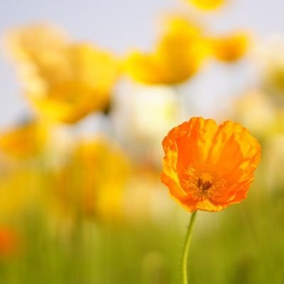 activehim's profile picture. 小規模病院のすみっこで診療情報管理をメインに施設基準やら雑務やらをやらせてもらってます。
情報収集用アカウント。