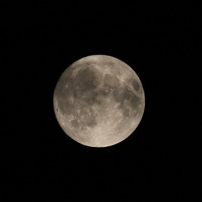 C3000_3126's profile picture. 🈂️(YSF)附中 7th 天文部員　🍏