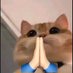 𝒚𝒆𝒃𝒊𝒏 🪐 (@s_yebinii) Twitter profile photo 𝒚𝒆𝒃𝒊𝒏 🪐 (@s_yebinii) Twitter profile photo