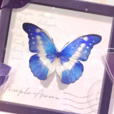 jn6gm3d1g229669's profile picture. 