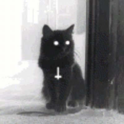 klaidaswho's profile picture. keeping it lemon 🍋