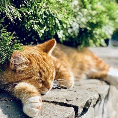 副業で収入を増やすコツを紹介中。副業初心者に役立つ情報を発信。僅かですが10万円プレゼント企画も実施しております! 支援中⇒ https://t.co/0t1tbav07t