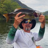 Eddie Young (@eddieydaeerfan) 's Twitter Profile