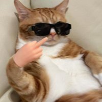 gergin görünüslü insan (@nisanurkayi) Twitter profile photo