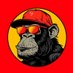 APES (@apes_trx) Twitter profile photo APES (@apes_trx) Twitter profile photo