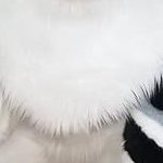 OSCAL1W's profile picture. 