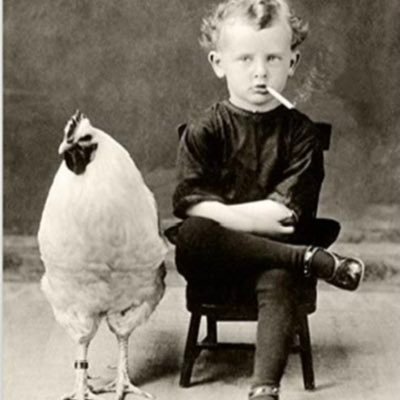 salemswamp's profile picture. fiddler, artist, writer, publisher. I live in a swamp Dead Fly art at https://t.co/NlJjOglFNS