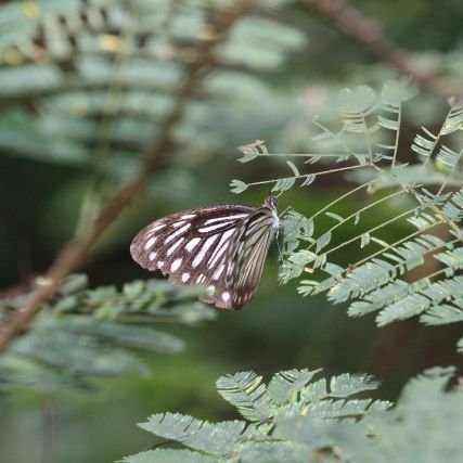 Thundarain_006's profile picture. Normal person