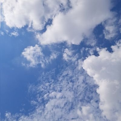 jongjikim838's profile picture. 