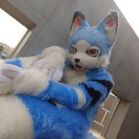 砦狼(ZERO) (@0w0lf_1119) 's Twitter Profile Photo