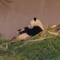 Reon (@reon12310608) 's Twitter Profile Photo