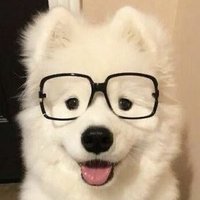 this is starting to drag on 🐲🐲🐲 (@sylvier_inu) 's Twitter Profile