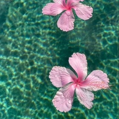 LNCS455's profile picture. if i could be by ur side, i’ll give u all my life my seasons.