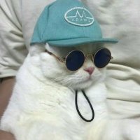 Crispy (@crispy_xyz) 's Twitter Profile Photo