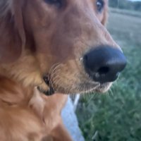 kelsey miller (@kbrianne1992) 's Twitter Profile