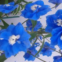 Наталья, Blue. #Dimash #Zhalyn #Stranger (@fipyqasujisy) 's Twitter Profile Photo Наталья, Blue. #Dimash #Zhalyn #Stranger (@fipyqasujisy) 's Twitter Profile Photo