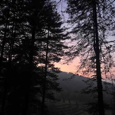 uweesharma's profile picture. just some sad relatable stuff.