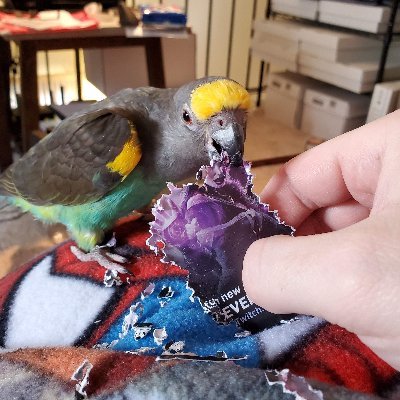 cr0ss9818's profile picture. 