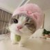 ๅๅฐพ็ซ (@mzqxy) Twitter profile photo ๅๅฐพ็ซ (@mzqxy) Twitter profile photo