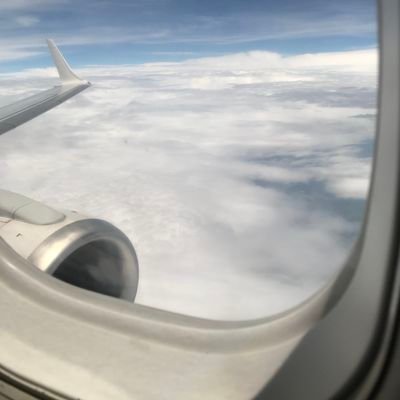 mangetsuLum's profile picture. 