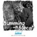 Bum Wine ๐ป (@_bumwine) Twitter profile photo Bum Wine ๐ป (@_bumwine) Twitter profile photo