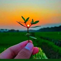 @unknown (@nik013129) 's Twitter Profile
