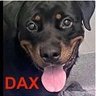 tomsland_'s profile picture. Posts for rescues. Love all dogs without regard to race, color or breed. #EndBSL #AdoptDontShop #RescueDogs #FostersSaveLives  #GSD #dogs #cats #furever