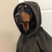 Black pepper (@k_u_d_z_a_i) 's Twitter Profile