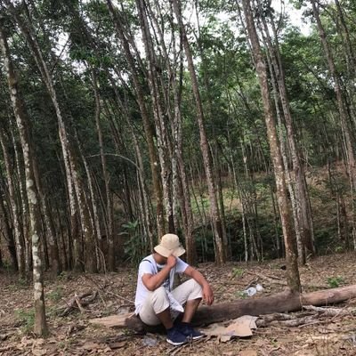 todayisvoila's profile picture. probably