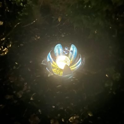 TChesler0910's profile picture. Reader, runner