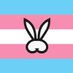 Onlybunnies Ts - Agency- DM for PROMO options! ๐ฐ (@onlybunniests) Twitter profile photo Onlybunnies Ts - Agency- DM for PROMO options! ๐ฐ (@onlybunniests) Twitter profile photo