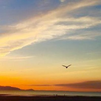 McqTam34416's profile picture. 